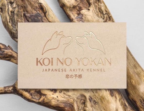 KOI NO YOKAN 